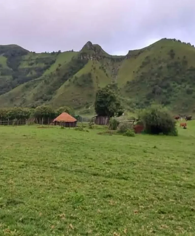 AnyConv.com__The Mount Manengouba is one of the tourist riches 6